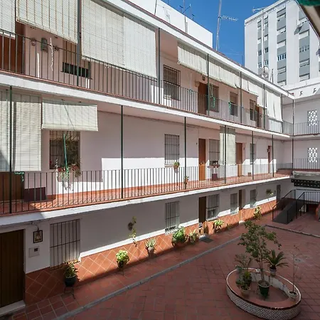 Salado * Seville